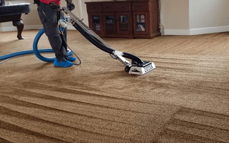 Powered By The People - Deep Carpet Cleaning



