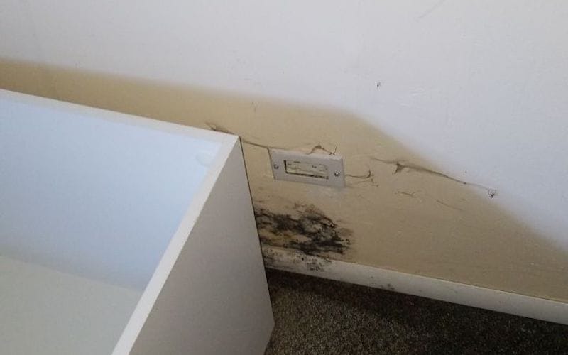 Residential Mold Remediation