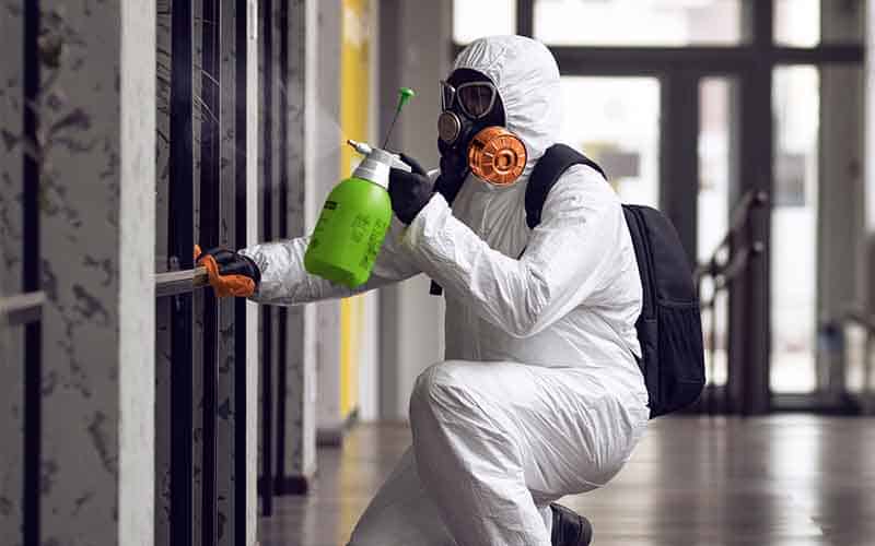 Commercial Mold Remediation