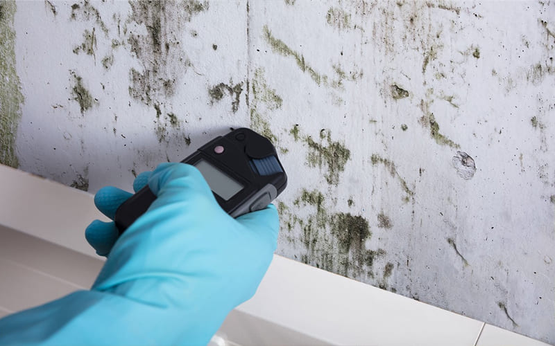 Mold Inspection and Testing