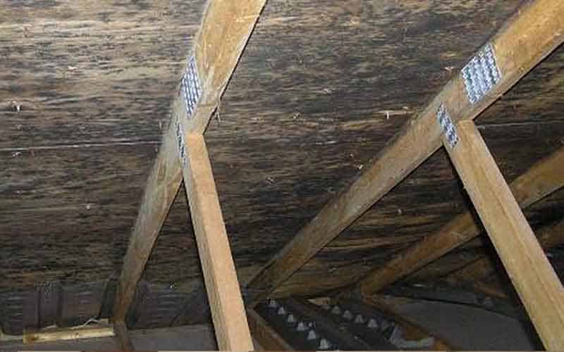 Attic and Basement Mold Remediation
