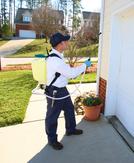 Start Your Pest-Free Journey