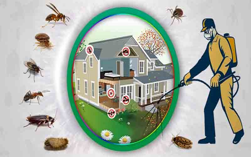Pest Prevention and Management