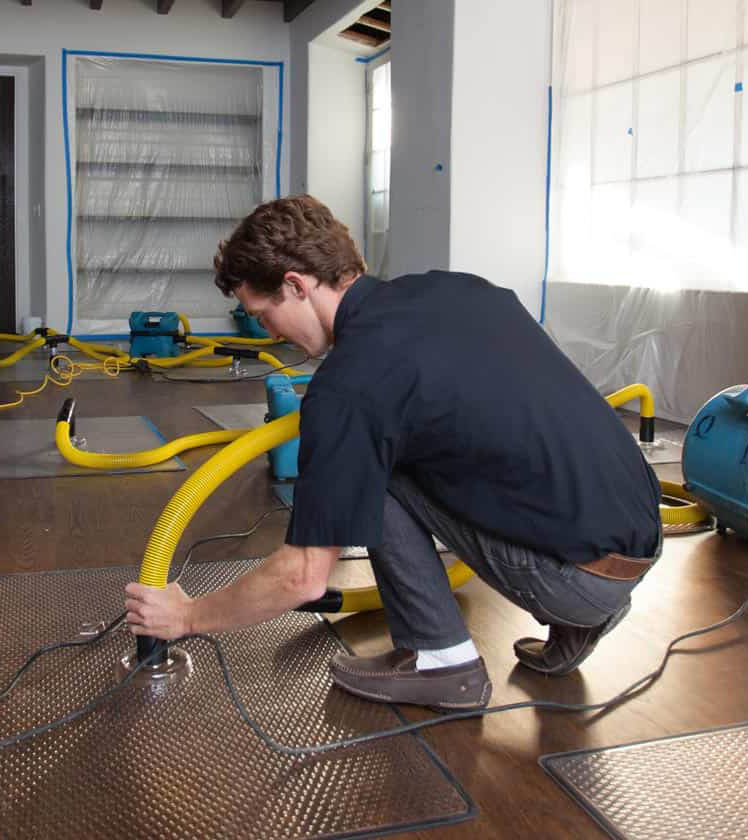 Water Damage Company Specialists Through Powered By The People?